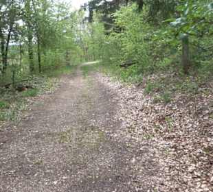 Premiumwanderweg Hochgebürzelt
