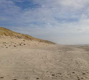 Dünen am Søndervig Strand