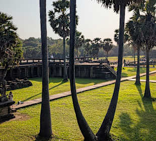 Angkor Wat 