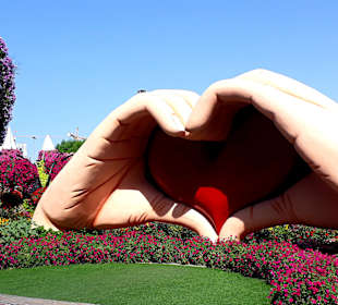 Miracle Garden