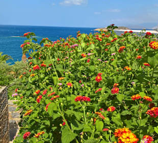 Wunderschön gepflegt