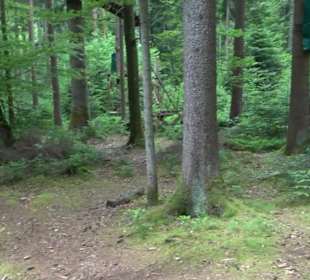 Hochseilgarten Hallwangen