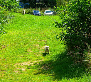 Spiel-Liegewiese
