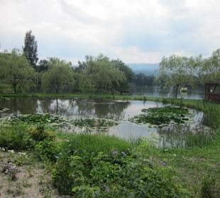 Fischteiche in Podgorzyn