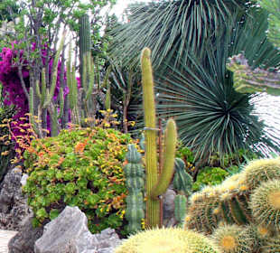 Jardin dÉxotique - Monaco