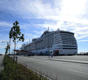 MSC im Hafen von Kopenhagen