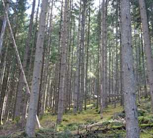 Wandern Bad Teinach-Zavelstein