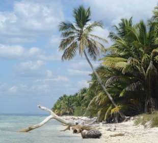 Schnorchelausflug mit Dressel Divers vom Iberostar