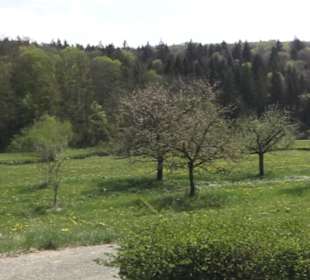 Schneckengarten Weiler