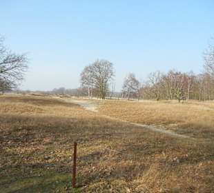 Wunderschöne Boberger Niederung