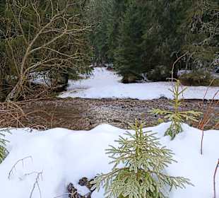Wandern Mittelberg (Vorarlberg)