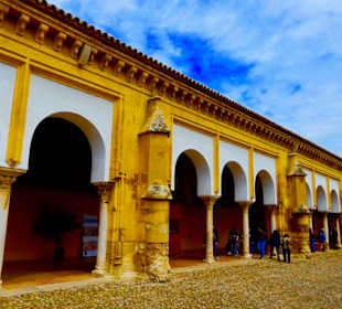 Patio de los Naranjos