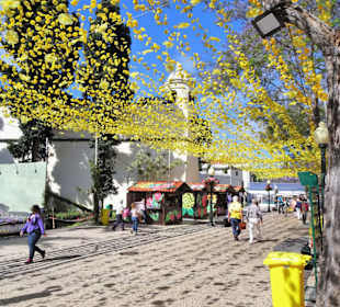 Impressionen vom Blumenfestival in Funchal