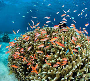 Underwater World Pemuteran