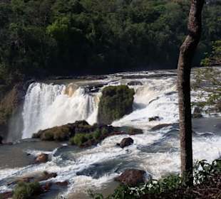 Iguassus kleine Schwester