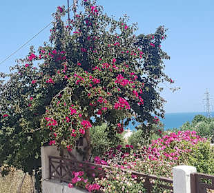 Wandern Chersónisos/Hersonissos