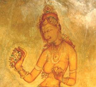 Eine schöner wie die Andere