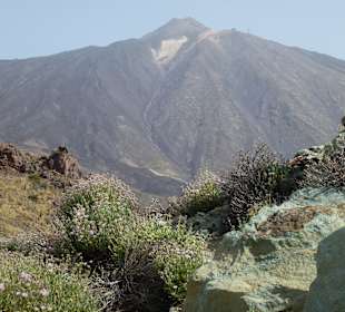 Nationalpark --> Teide