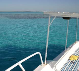 Ausflug mit Glasbodenboot