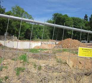 Am Niederwalddenkmal