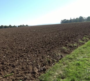 Kelten-Erlebnis-Pfad Erkenbrechtsweiler