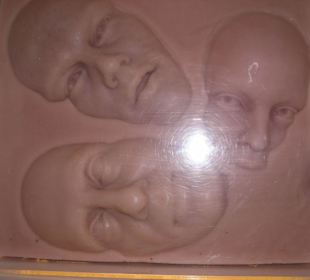 Ausgestellte Wachsköpfe