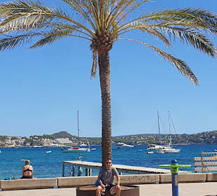 Strand Paguera/Peguera