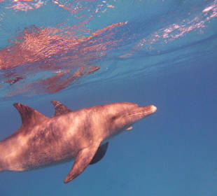 Unberschreibliche Momente...