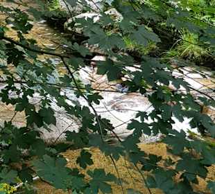 Wandern Schwarzenberg