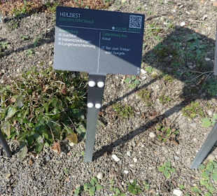 Erläuterungen der Kräuter