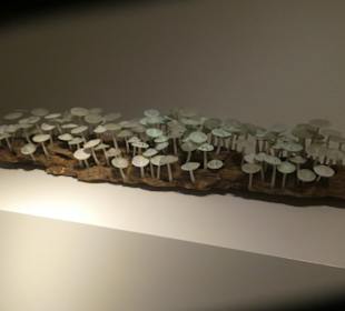 Kunstsammlungen der Veste Coburg