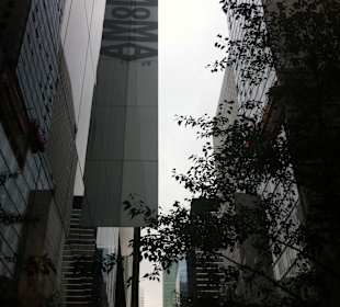 MoMA