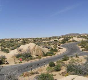 Joshua Tree National Park