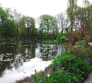 WAssergarten von Claude Monet