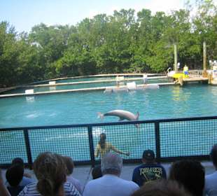 Miami Seaquarium