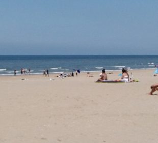 Strand Scheveningen