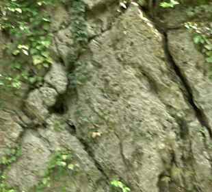 Wallersteiner Felsen