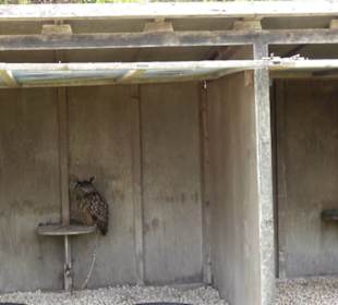 Malta Falconry Centre