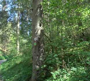 Premiumwanderweg Hochgehschätzt