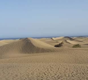 Dünen von Maspalomas