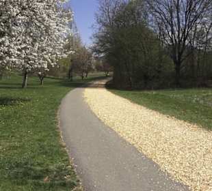 Sport- und Freizeitpark Markwasen