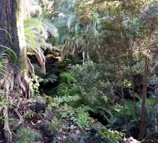 Vielfältige Botanik