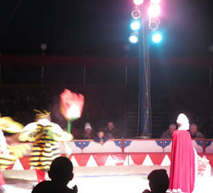Landauer Weihnachtcircus 2016
