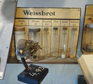 Rundgang durch das Hamburger Schulmuseum