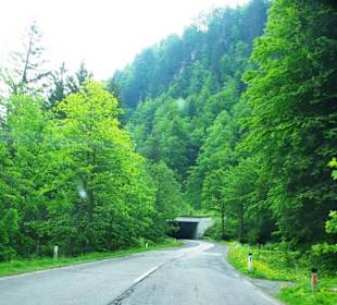 Erster Teilbereich Plöckenpass