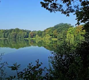 Der Außenmühlenteich im Harburger Stadtpark