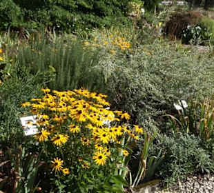 Klosterkirche Maria Gnadenzell