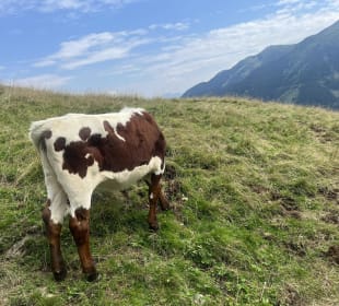 Sport & Freizeit