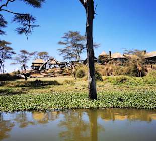 Geführte Touren Marco Polo Tours & Safaris Diani Beach