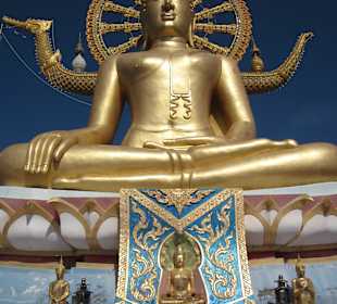 Wunderschön anzusehen